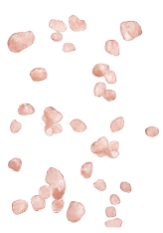 Untitled-1 [Recovered]-25